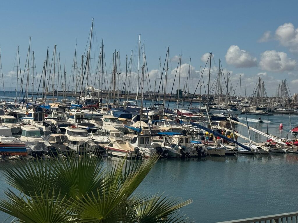 Marina Internacional haven Torrevieja